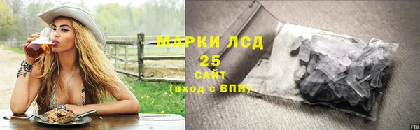 соль ск Пересвет