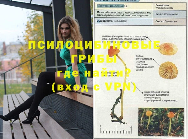 гашишное масло Алексеевка