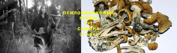 мет Алексин