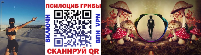 где найти   Артёмовский  Псилоцибиновые грибы мухоморы 