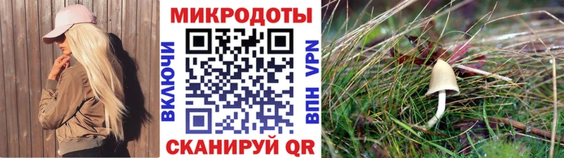 Псилоцибиновые грибы Psilocybe Артёмовский